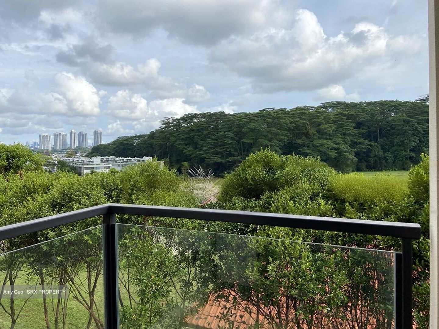 Holland Link (D10), Terrace #461060961